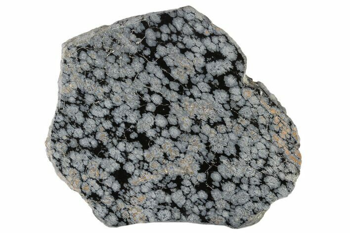 Polished Snowflake Obsidian Section - Utah #117769